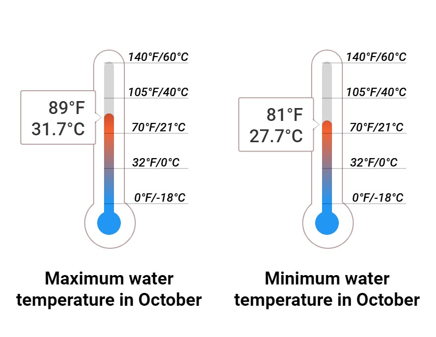 Average Sea temperature